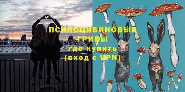 МДПВ Навашино